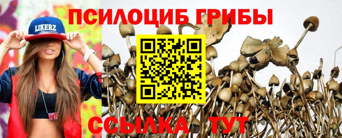 Галлюциногенные грибы мицелий  Галлюциногенные грибы прущие грибы  Холмск  Вход с VPN 