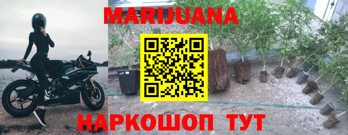 Конопля MAZAR Холмск